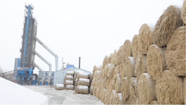 煤炭價格高，烘糧利潤低，吉林大安市500噸糧食烘干塔改用秸稈大包直燃鍋爐，每天省3萬